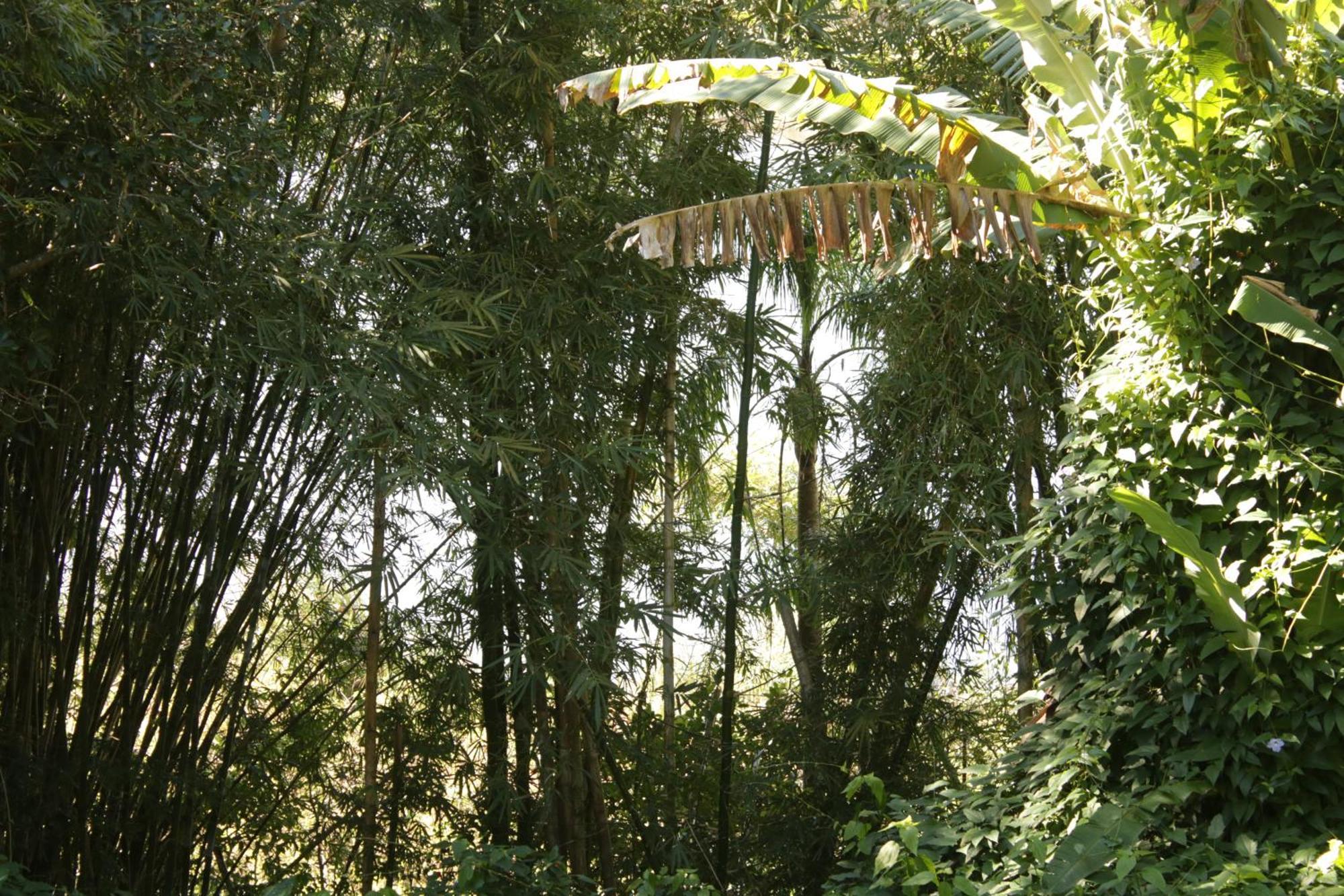 Coracao Da Terra 普腊亚罗萨 外观 照片