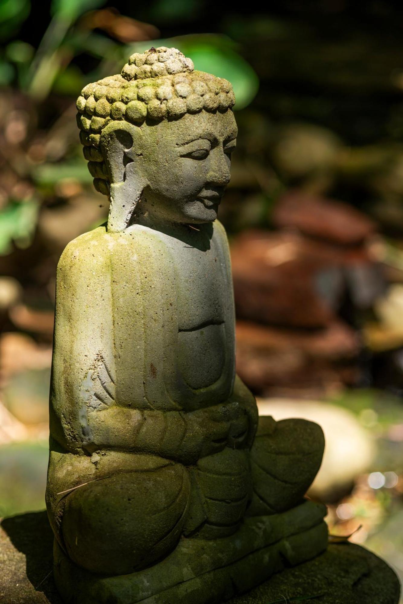 Coracao Da Terra 普腊亚罗萨 外观 照片